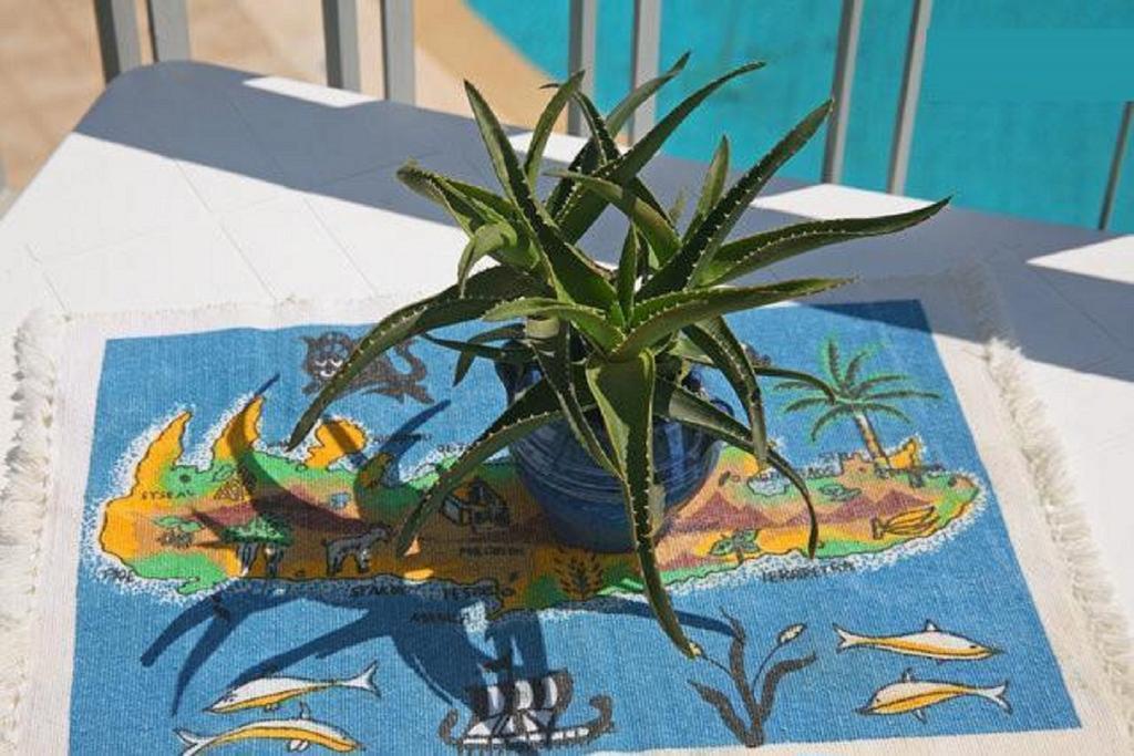 Aptera Paradise With Sea View Μεγάλα Χωράφια Εξωτερικό φωτογραφία